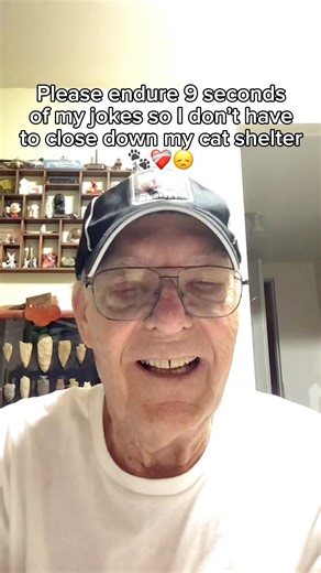 Help us turn homeless cats into happy cats ❤️🏡 Donate today #cats #shelter #donate