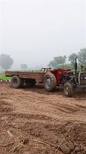 fgcv (@fgcv2376)’s videos with original sound - M Jan ❤️🔥