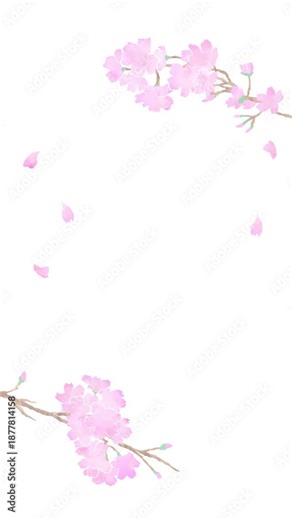 Watercolor-style cherry blossom branch swaying with falling petals, seamless loop animation, 4K(5sec,vertical)