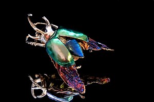 Silver Beetle Necklace / Bug Pendant / Insect Jewelry / Bug Necklace / Electroformed Jewelry - Etsy Canada