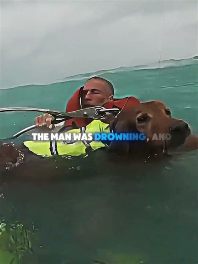 A Man and His Dog Needed Help #kindness #rescue #heartwarming #rescueefforts #animals