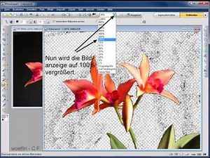 Freistellen mit PhotoImpact X3