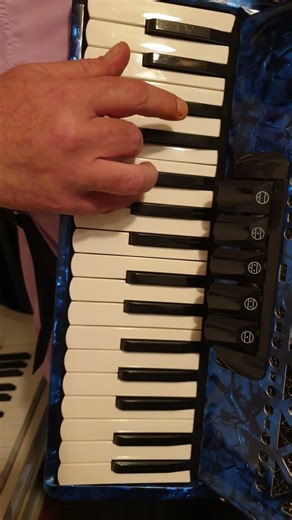 Beer Barrel Polka (Rosamunde) #accordion #polka #fyp