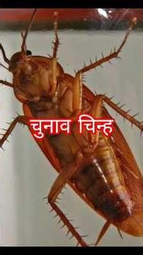 🪳 Cockroach Janta Party | Amazing Facts About Cockroach | Biology Facts in English
