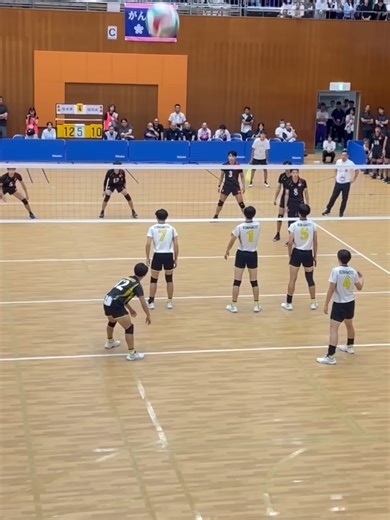 バレーボールクラッカ (@vb.cracker8386)のvolleyの動画