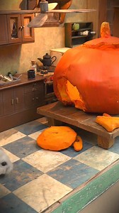 199K views · 4.6K reactions | My hamster in the haunted house  #hamster #homuraham #hamstermaze #hamsterhauntedhouse | Homura Ham | Facebook