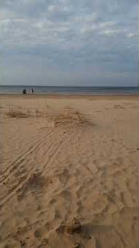 Winter Is Gone — Peaceful Baltic Beach Walk 🌊