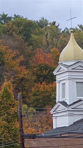 Even from far away, with a shaky cam, and only a couple minutes ... the Fall colors of the Watkins Glen State Park is still worth every second! | Watkins Glen