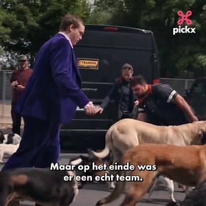 35K views · 26 reactions | Benieuwd hoe het eraan toegaat op een filmset met 70 honden?  'Dogman'-regisseur Luc Besson vertelt je alles over de casting en de chaos tijdens het filmen!  Ontdek al het filmnieuws in 'Fresh Screens' op Pickx+  Bekijk het aangrijpende verhaal van Douglas en zijn honden in 'Dogman' in de Proximus VOD-catalogus #proximuspickx_nl | Pickx | Facebook