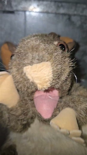 EVERYBODY FREEZE! #trending #funny #laugh #fyp #puppet #humor #memes #viral #shorts #foryou