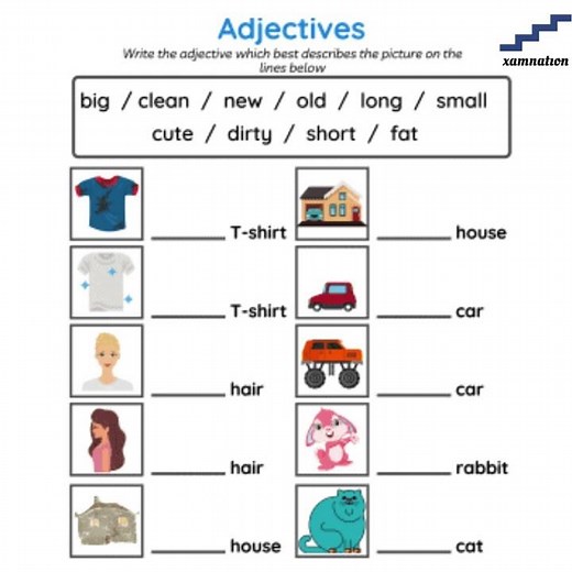 English Grammar Quiz | Adjective test - Language learning