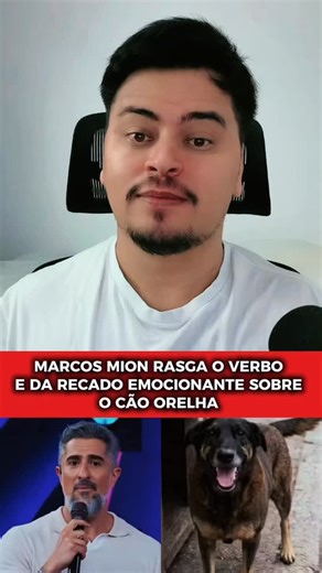 Ivan Vieira on Instagram: "MARCO MION RASGA O VERBO SOBRE O CÃO ORELLHA Em vídeo, o apresentador Marcos Mion, emocionado, afirma: “Machucar um cachorro é destruir o que temos de melhor dentro de nós”. Lembra que a gente não merece conviver com cães. Lembra do amor incondicional que eles dão, mesmo depois de levar bronca. E que matar um cão é matar o que ainda resta de bom em nós. @ivanvieiratv"