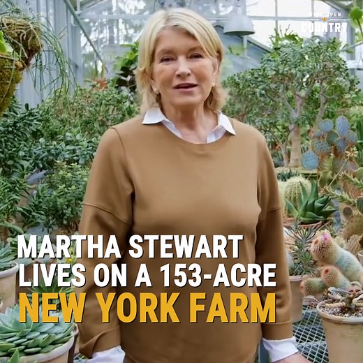 Martha Stewart's incredible 153-acre horse farm in Bedford, New York dates all the way back to 1784. https://bit.ly/3NWX7N1 | Wide Open Country