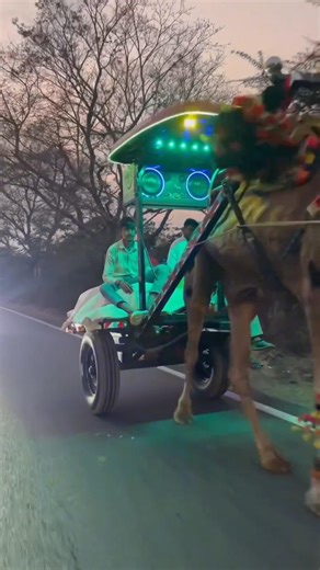 ऊंट pe music system lagwa diya 🤩 #tochanking #nishudeshwal #short