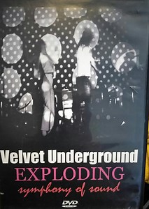 Andy Warhol & The Velvet Underground - Andy Warhol's Velvet Underground & Nico