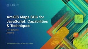 ArcGIS Maps SDK for JavaScript: Capabilities and Techniques