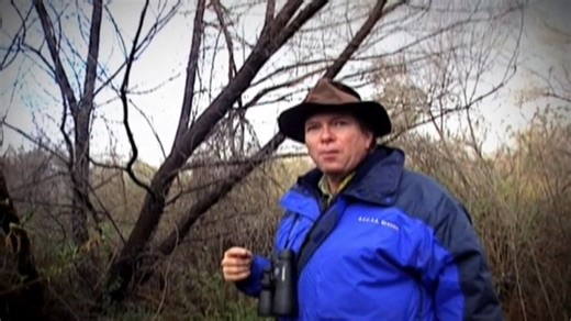 The Rescuer - Trailer Sometimes wonderful and unexpected things happen when you set out to make a documentary, and this is very much the case with The Rescuer, which began as a 27-year chronicle of the activities of Leo Grillo, a man who loves animals, perhaps too much. In 1979, Grillo, an up-and-coming young Hollywood actor driving to a location shoot, spotted a bedraggled abandoned dog wandering under the broiling desert sun. Leo couldn't resist stopping to pick up the animal and subsequently 