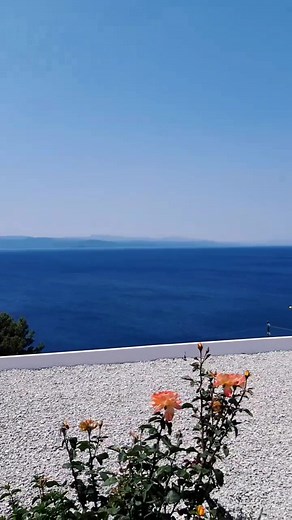 Pogled sa terase hotela Skiathos Palace 💙🇬🇷 #skiathos #greece #mediterranean #skiathospalace