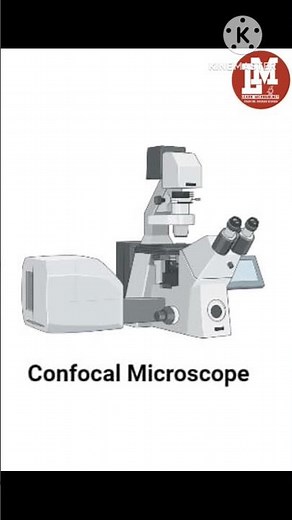 Types of Microscopes