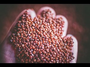 How To Cook Red Quinoa In The Instant Pot