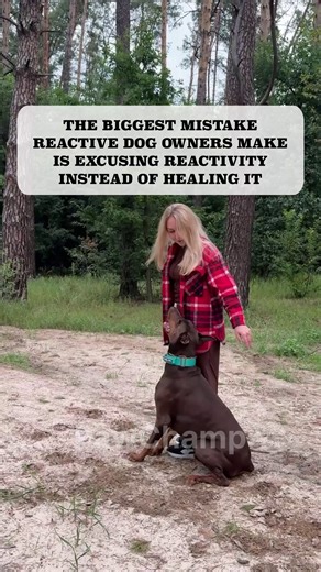 🐶 Unlock Your Dog’s Natural Calm with the Vagus Nerve Reset Challenge! 🐶 Simple, science-backed exercises designed to ease reactivity, reduce anxiety, and build stress resilience in just 10 minutes a day 🐶 No force, no complicated training—just fun, relaxing techniques to help your pup feel calmer and more confident 👇 Click below to start the journey toward a more balanced and stress-free life for your dog! | Dog's Vagus Nerve Reset Challenge