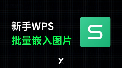 新手必学！wps怎么把图片批量嵌入到表格中