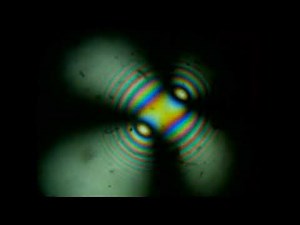 Pockels Effect with a Polarizing Microscope