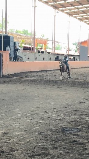 3.6M views · 10K reactions | La vida te regala momentos espontáneos que se vuelven mágicos . Gracias a Dios. #cgduquesa | Criadero Casa Goñi | Facebook