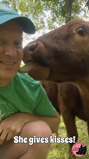 Annie has an amazing tongue that could be mistaken for an alien being. But being blind, she uses her tongue as a way to explore her world. Sometimes it is her way of seeing what is around her. Sometimes it is her way of trying to find more treats, and often it is her way of expressing an emotional bond with her family (including the sheep who love her enough to allow her licks despite not being their love language). No matter what she is doing, it is always impressive to she her many uses for he
