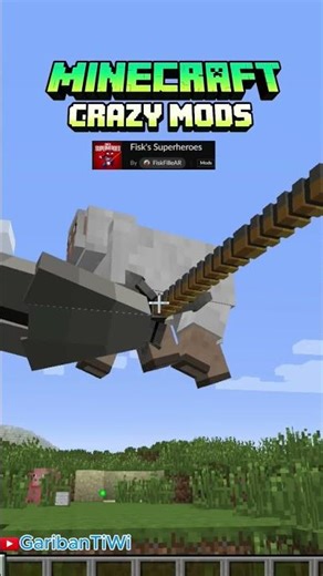 Minecraft crazy mods #minecraft