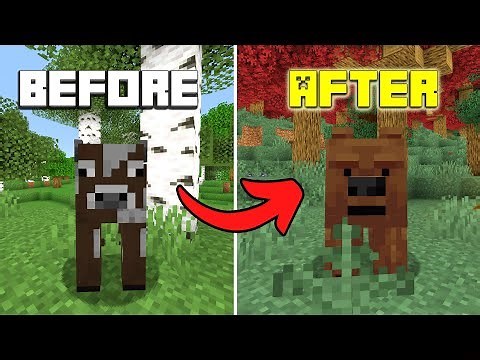 Creating A BETTER Minecraft With Mods