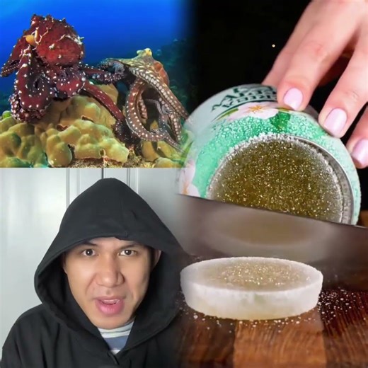 Octopus' Undersea Civilization 😮#comedy#fyp#funny