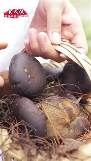 The man in black sneaked up on the little dragon girl and was discovered by the kung fu master