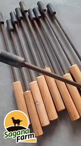 Disbudding iron (dehorner) for goat kids and lamb, so handy; fire-type, no need of electricity. #saganatools 🇵🇭 🐐 🐏 Two sizes: 15-30 day old (small) 30 day old up (medium) *Available in our Shopee shop, link in the bio. | Sagana Farm