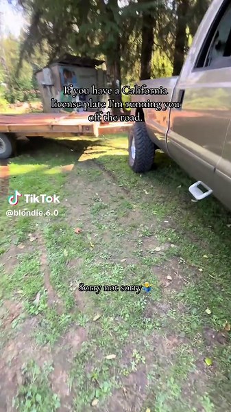 Cowboy Lane Adventures: TruckTok Fun