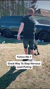 Great way to help a nervous dog | Southend Dog Training