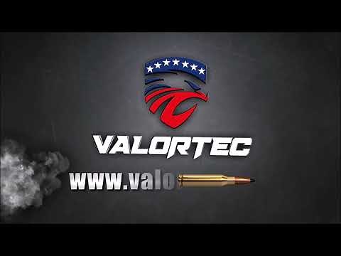 Black Scorpion Outdoor Gear Review (Holster, belt, mag holders, conceal line)