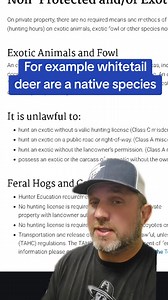 3.7K views · 24 reactions | Night hunting in Texas. #texasnews #nighthunt #jamesbigleyranches #Texas #nilgai #outfitter #hunting #texashunting #arrested | James Bigley Ranches | Facebook