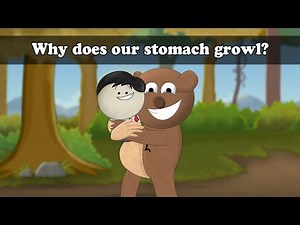Why does our stomach growl? | #aumsum #kids #science #education #children