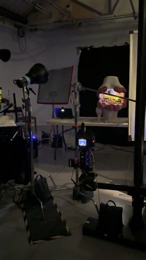 Here’s our model bone project being filmed. This was an intense production where every part of this had to be anatomically correct in addition to creating avery cool scene of destruction showcasing what happens when you have the painful condition that is TGCT. To see more go to our site :) #fyp #miniatures #photography #painting #photoshoot