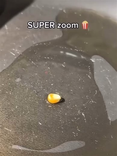 Exploring the Wonders of Super Zoom