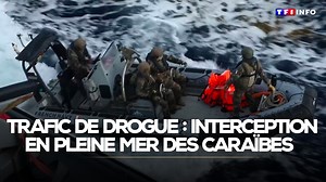 😲 L'impressionnante interception d'un possible go-fast en pleine mer des Caraïbes par la Marine nationale ⬇️ | TF1 INFO