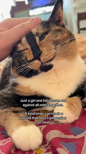 I know for a fact that this smile can cure anything 🐈❤️ #snickersthesmilingcat #sweetsnickers #rescuecat #smilingcat | snickers_the_smiling_cat