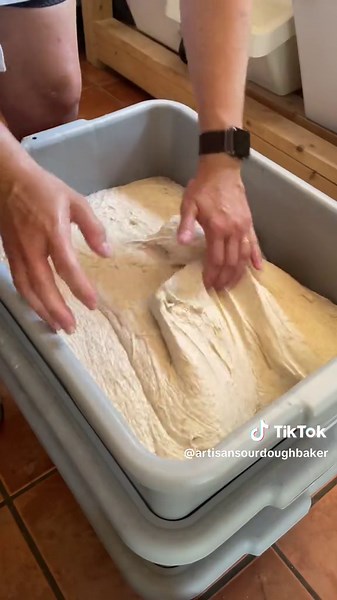 Aliquot Method is the perfect sourdough hack when you are sourdough baking ☺️ It is really easy, when your mix is complete take out 40g and put it in a 2oz cup (60g cup) when your little piece of dough reaches the top of the lid, you are good to pre-shape. Et voila 😉 #sourdoughhack #bulkfermentation #sourdoughtok #bulkfermentation #aliquotmethod #sourdough101 #explainsourdough #sourdough #pointage #easytips #easybakingtips #viralsourdough #viral #jfypシ゚viral