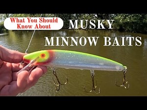 MUSKY MINNOW BAITS - WHAT YOU SHOULD KNOW ABOUT