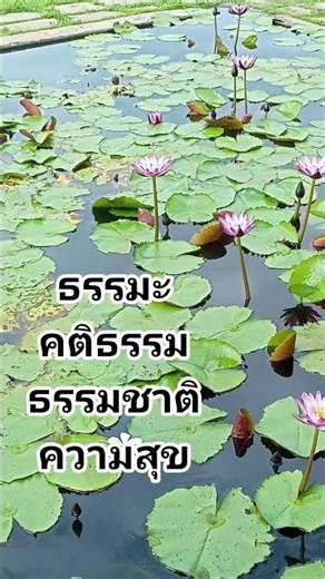 #ธรรมะ #ธรรมชาติ #ความสุข #ความรัก #คติธรรม