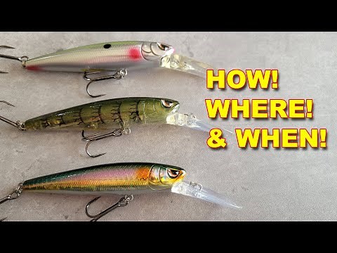 Top 5 Baits For Early Spring Bass Fishing! (How To Fish Them) | Bass Fishing