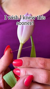 605K views · 5K reactions | Flower Secrets You Need to Know!  Learn the tips and tricks the professionals use! Hacks to make fresh flowers last longer, smart floral design secrets and simple tricks to save money! #flowers #florist #springtime #floraldesign This original video was produced by Network Media, LLC and Jeff & Lauren Productions. | Home Hacks & Easy Snacks | Facebook
