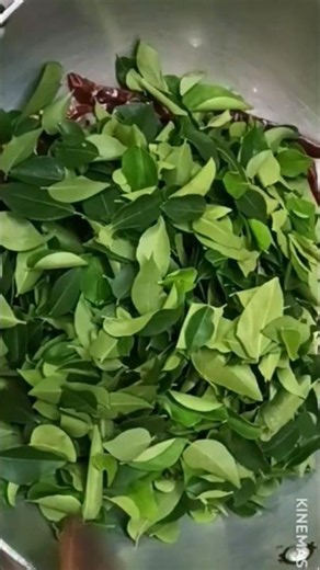 💁‍♀️Grandma's secret 👉 3 🌿 green powder recipe#shorts #healthy #telugurecipes