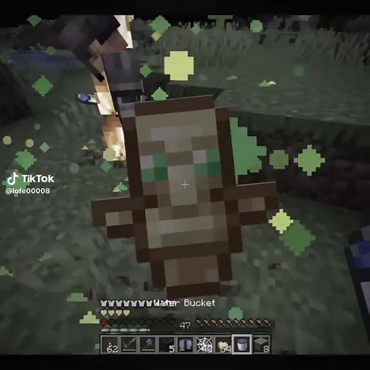 Epic Minecraft Totem Tricks with Parrotx2